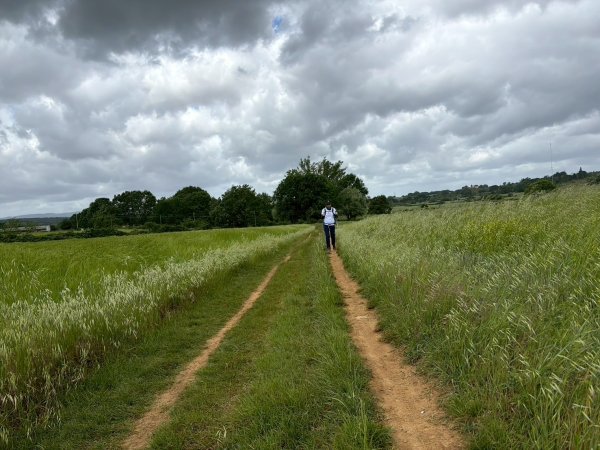 Via Francigena D2: Colle di Val d’Elsa-Monteriggio3072729