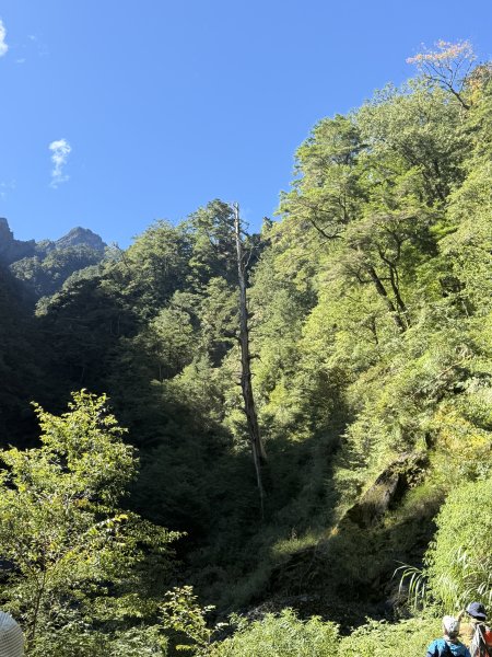 86庫哈諾辛山115.09.133124612