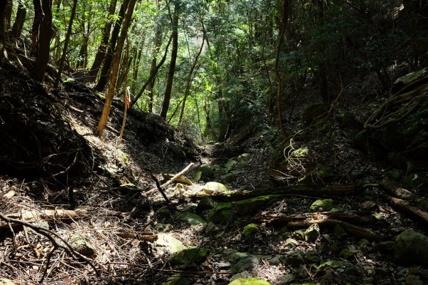 苗栗泰安 | 雪見‧初探北坑溪古道2700070