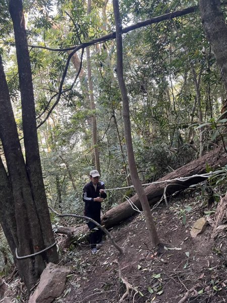 2025/3/22白毛山2823672