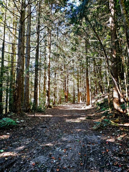 屋我尾山-谷關七雄 老三2962551