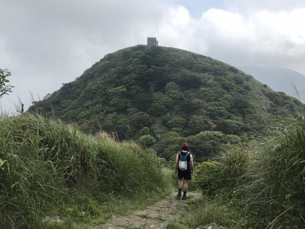 面天山、向天山步道1386853