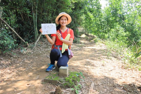 台北天際線泰山段2799086
