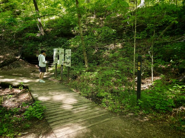 [美國行-04] 2026_0510 火雞跑步州立公園-糖溪3058937
