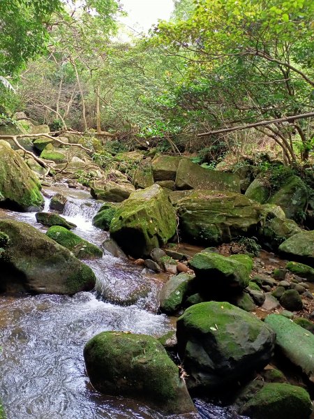 【大內連峰】大湖公園→內溝溪生態步道1727857