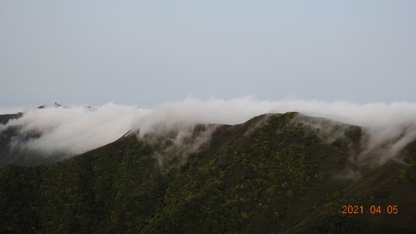 0405陽明山再見雲瀑，今年以來最滿意的一次1335453