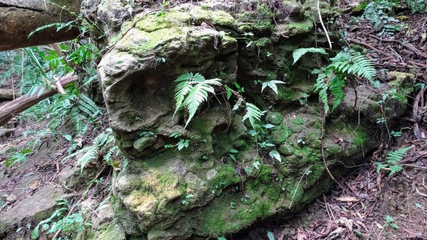 山羊洞,逍遙洞1822201