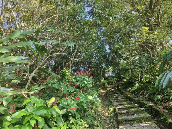 2023.12.08 土庫岳2695282