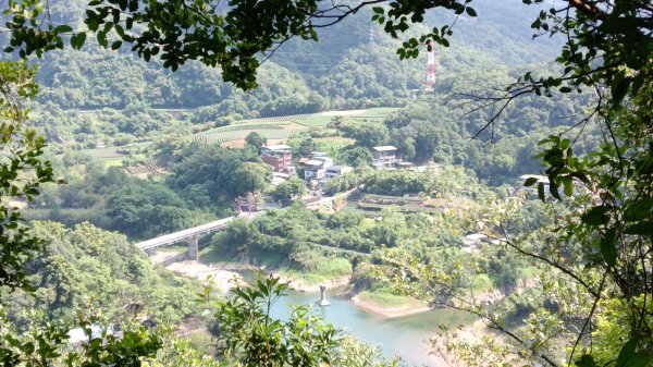 坪林區仁里坂山-火炎山未竟跟聯合艦隊除草去3125120