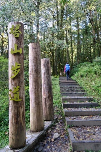 大塔山～楓之美979530