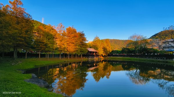 #花卉試驗中心 #永公路500巷 #平菁街42巷 #原住民公園 #士林官邸 1/42976592