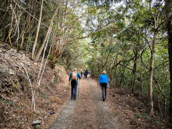 2026-01-18 埔里關刀山2989571