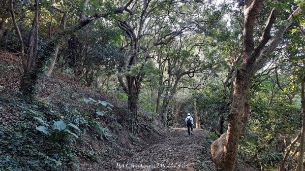 《彰化》卦山少林｜花壇西來園（銀行山）登山步道202412012657893