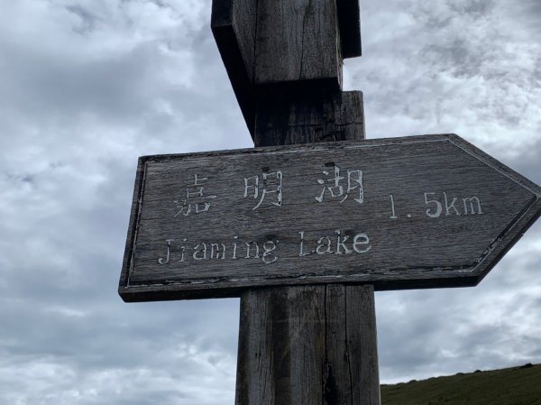 20220625台東海端向陽山、向陽山北峰、三叉山、嘉明湖1745548