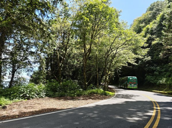 [山海圳_聖山之路_第一段] 2026_0802 自忠⮕鹿林山登山口3109087