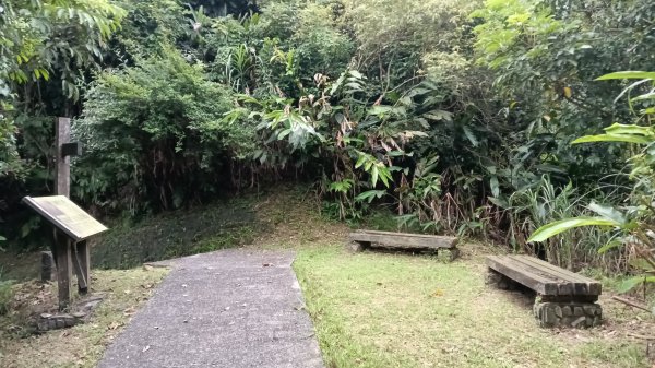 雙溪區嶺頭觀日步道-西九份坑山-西九份坑山前峰-雙溪車站3063080
