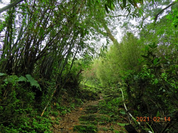 臺北 北投 向天池山、山仔頂古道1269598