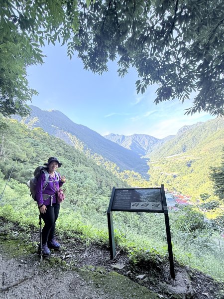 來去郡大坐龍貓公車順登對關山2822320