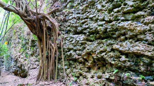 大崗山,盤龍峽谷2954520