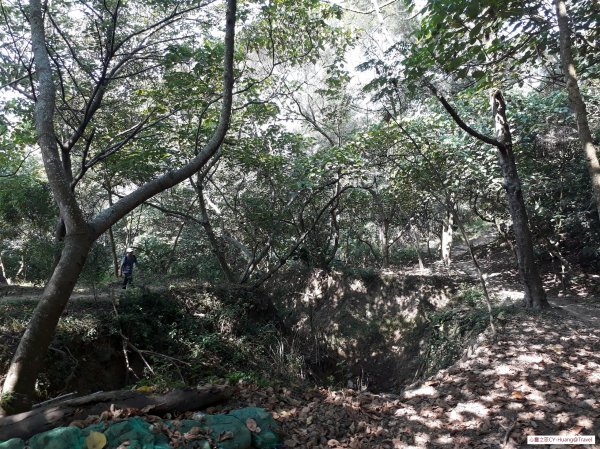 台中太平三汀山登山步道20181021439417