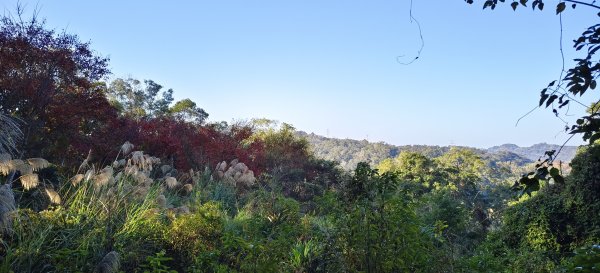 2026/01/10_銅鏡山林步道2980589