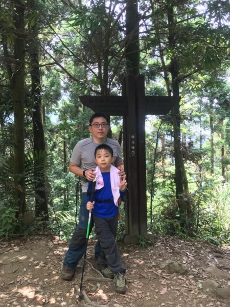 新竹五指山599749