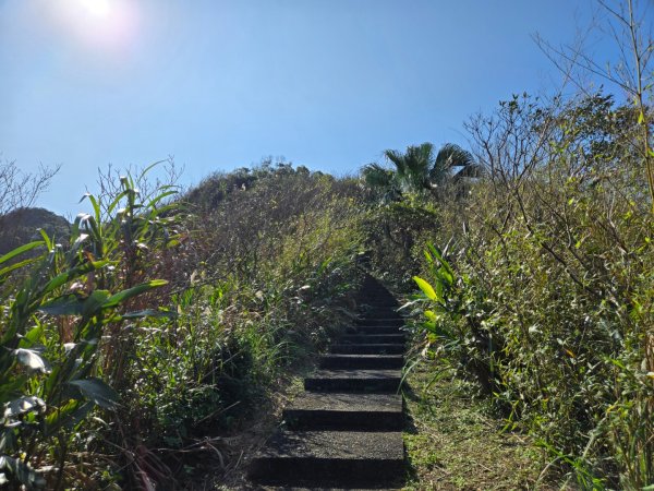 槓子寮砲台、槓子寮山步道（龍崗步道）（小百岳）2701994