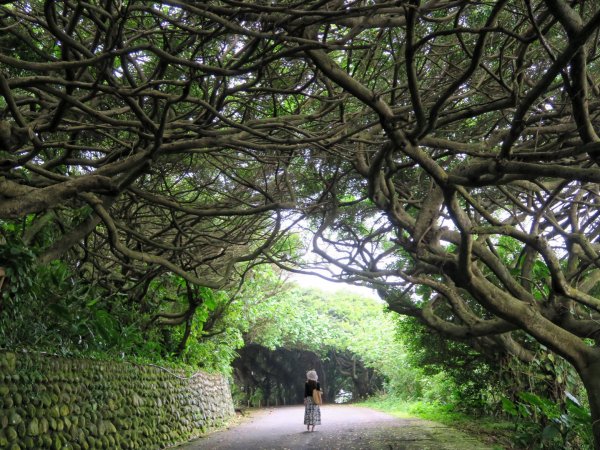 麟山鼻濱海步道 駱駝峰 富貴角公園1340680