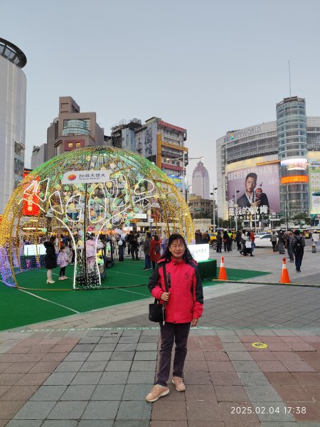 台北燈節 - 中華路展區2706809