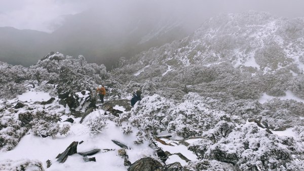 八大秀雪攀初體驗，銀白色中央山脈2414006