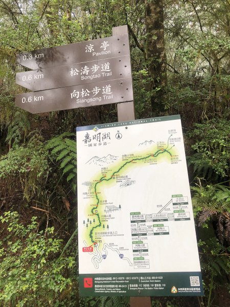 ~  天使的眼淚 -- 嘉明湖 + 三叉山 + 向陽山  ~2334309