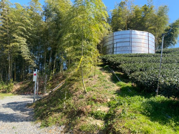 鹿谷大崙尾山、和雅挑竹古道7號、和雅挑竹古道6號O型走2425956