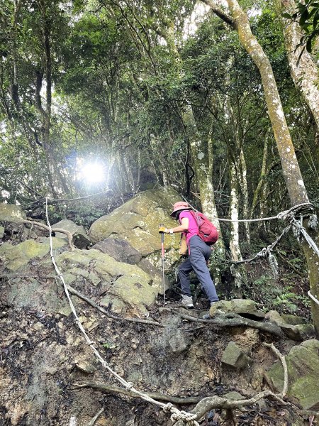 仙山+八仙古道 O繞 2023 07 232228333