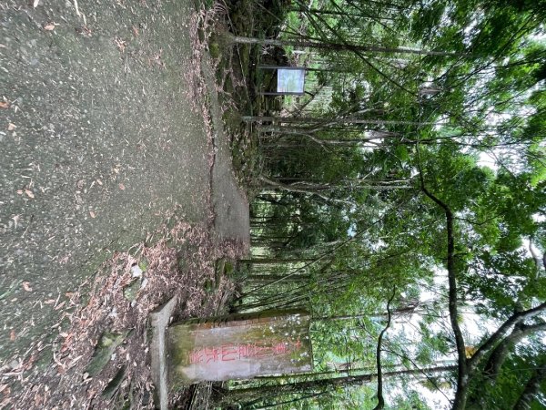 20230530_大棟山+崁頭山（台南小百岳）2762487