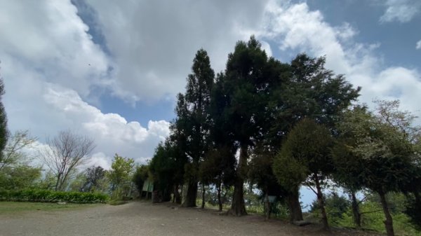 奇萊南華。金黃色的大擁抱1480635