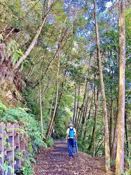 大雪山避暑順登橫嶺山（2人獨享的雲霧森林）  2021/7/151425643