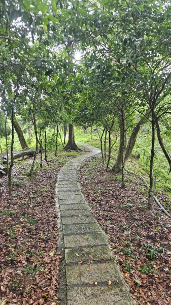 20250612溪南尖-主公山2810069