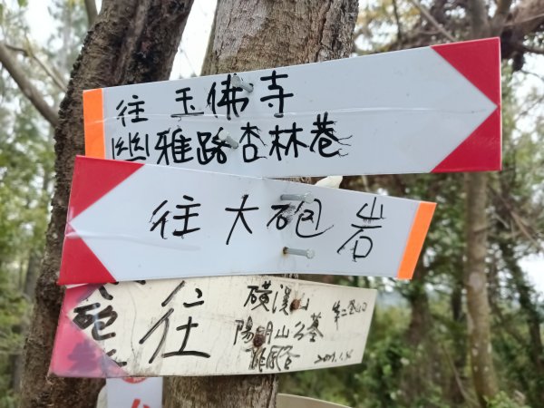 北投區大砲岩-石壇山-大師岩-湯守山-熱海岩場-八頭山-烏尖連山-軍艦岩3027349