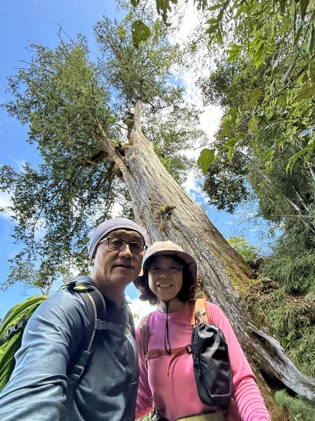 鳶嘴山+稍來神木 202508302873905