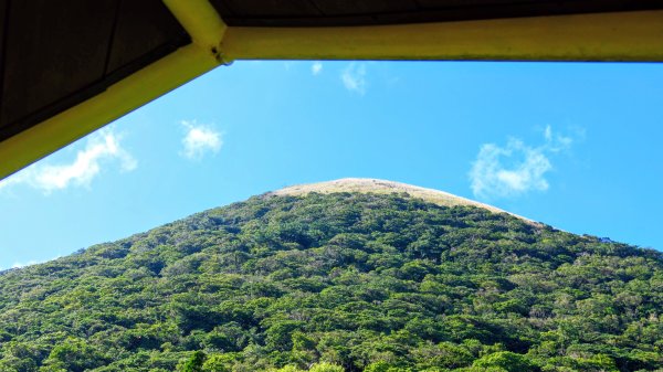 向天蝦不蝦2936837