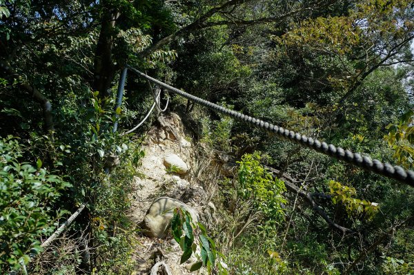 苗栗三義三角山596996