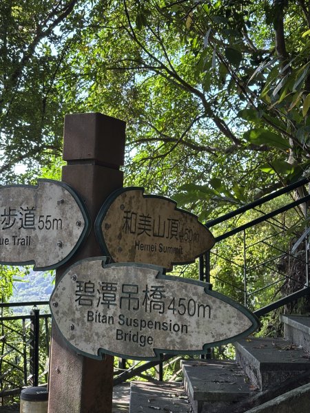 新店和美山3114038