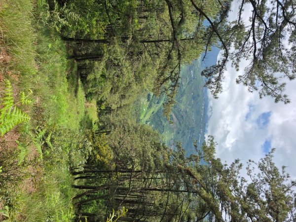 四大鳥山之首小劍山2773959