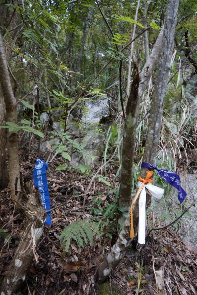 馬崙山露營趣282550