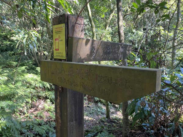 2025微笑山線大縱走尋寶集章任務-Ep.04【天上山系】望月亭桐花段｜石門內尖山東峰 ×石門內尖山2979152