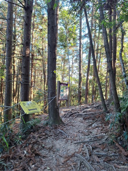 谷關蝴蝶谷瀑布202511202940795