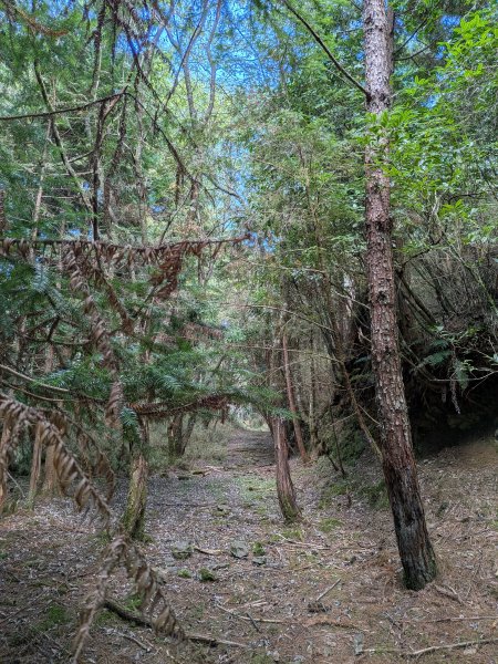 結界縱走三日(結城山、境界山、檜山)2920905