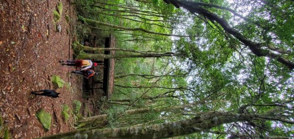 谷關七雄_馬崙山_八壯士上松媽媽下2306676