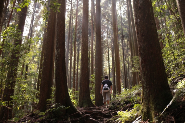 加里山：想爬山就別嫌起床太早