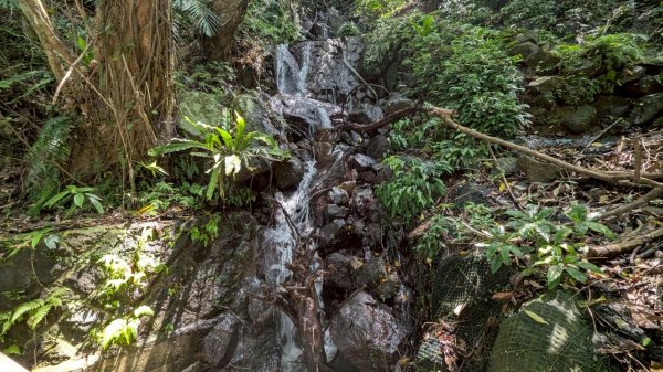 114.06.01溪山百年古圳-太平尾山+聖人崙之旅2801831